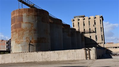 محافظ الفيوم: تشغيل مصنع أعلاف جرفس بكامل طاقته خلال أشهر