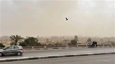 حالة الطقس غدا السبت 12-11-2022 في الإسماعيلية