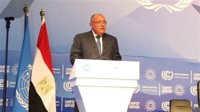 وزير الخارجية: نثمن دور أمريكا في دعم جهود التكيف بأفريقيا