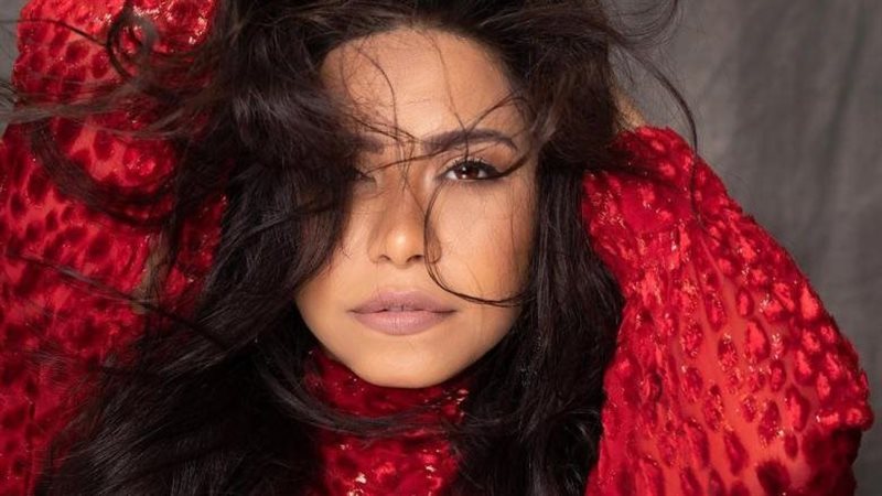 الفنانة شيرين عبد