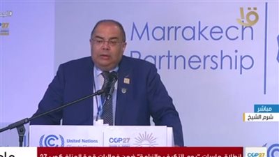 محمود محيي الدين يطالب المؤسسات المالية بمحو السلع التي تعتمد على إزالة الغابات 