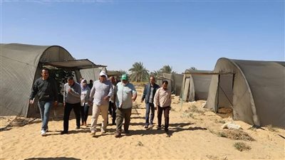  محافظ الوادي الجديد يتابع مشروعات الصوب الزراعية بالخارجة