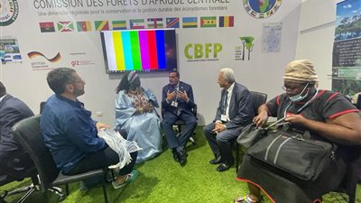 وزير التنمية المحلية يبحث مع وزيرة الإسكان بالكاميرون تعزيز التعاون بين البلدين 