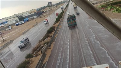 برك مائية على الطرق بسبب غزارة الأمطار بالإسكندرية | صور