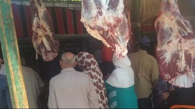 فتح 7 منافذ لبيع اللحوم بأسعار مخفضة بالجيزة