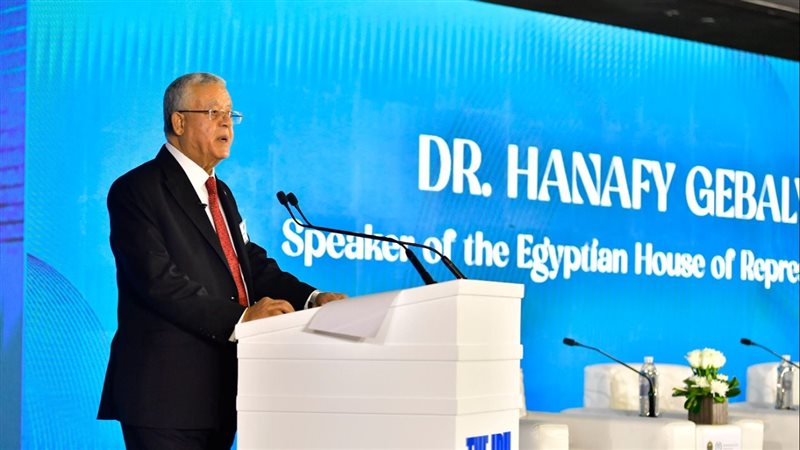 المستشار الدكتور
