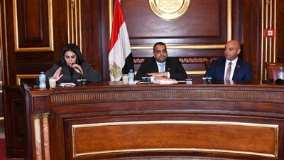  ثقافة الشيوخ تناقش اقتراح بإنشاء مشروع سياحي لجذب المسنين بأوروبا