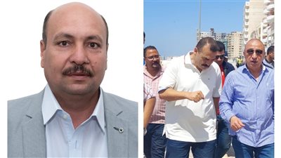 تعيين حبيب بالاتصال السياسي بديوان الإسكندرية والغندور للإعلام 