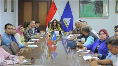 محافظ دمياط تتابع المعدلات التنفيذية لمشروعات حياة كريمة بمركز كفر سعد 