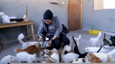 فتاة من دمياط تحول منزلها لدار رعاية القطط والكلاب الأليفة | فيديو