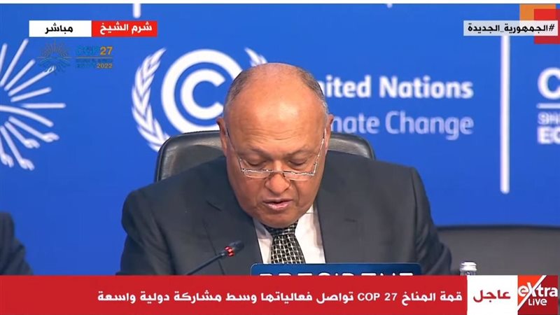 سامح شكري وزير الخارجية