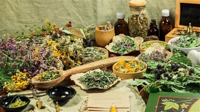 حسام موافي يحسم الجدل بشأن العلاج بالأعشاب.. ويكشف علاقة النوم بالجلطات | فيديو