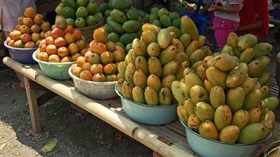غرفة الدقهلية التجارية: تراجع سعر المانجو في الأسواق