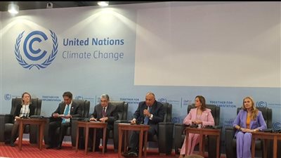  وزير الكهرباء بمؤتمر تغير المناخ: يتعين على الجميع التكاتف من أجل تحقيق التنمية المستدامة 