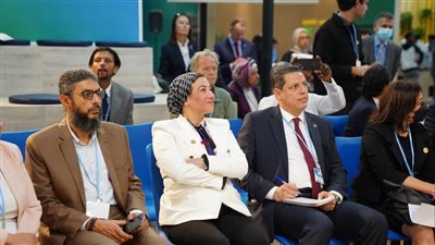 وزيرة البيئة: العمل على وثيقتين هامتين لتأمين المزيد من المصادر لتمويل المناخ 