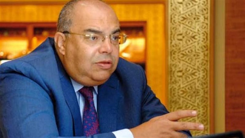 الدكتور محمود محى