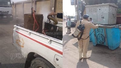 محافظ بني سويف يوجه مديرية الصحة بمكافحة انتشار الذباب المنزلي