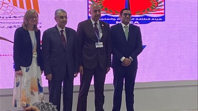 شاكر يعلن انتهاء تنفيذ محطة توليد الكهرباء من الطاقة الفوتوفلطية بالسويس 