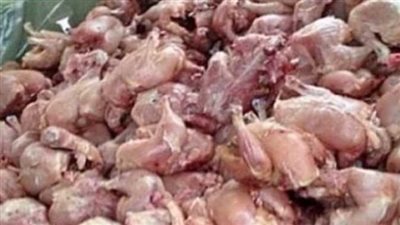 ضبط 3 أطنان دواجن غير صالحة للاستهلاك الآدمي داخل ثلاجة بالجيزة