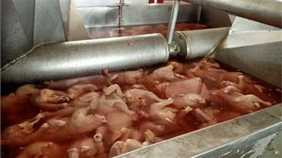 ضبط  8 أطنان 