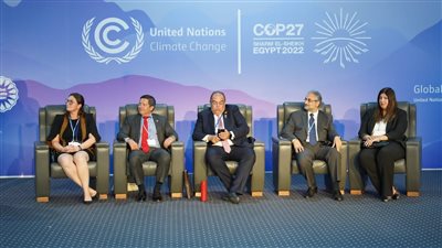 الوكيل الدائم لوزارة التخطيط يشارك بجلسة حول المبادرة الوطنية للمشروعات الخضراء