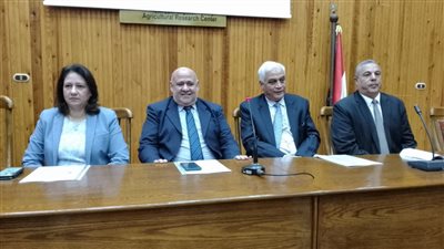 أمراض النبات يعلن عن 6 توصيات مهمة لتفادى تأثير التغيرات المناخية على محصول القمح