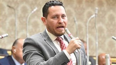 مقرر لجنة المحليات: نشكر الرئيس على اهتمامه بملف المحبوسين