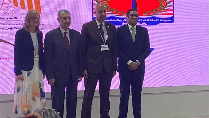 وزير الكهرباء والوفد