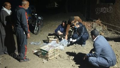 بعد عقر 8 مواطنين.. 5 صور ترصد حملات بشبين الكوم على الكلاب الضالة