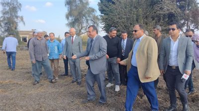 رئيس جامعة بنها: زراعة القمح على مساحة 60 فدانا في كلية الزراعة