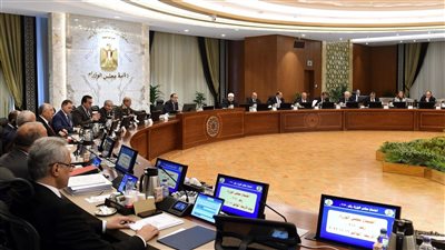 رأس مالها 6.1 مليار دولار.. مصر تعلن انضمامها لمؤسسة التمويل الأفريقي 