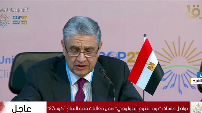 وزير الكهرباء محمد