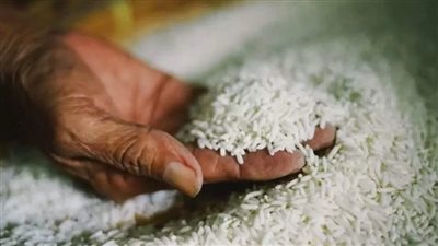بعد قرار الوزراء.. حماية المستهلك يبدأ تطبيق العقوبات على حائزي سلعة الأرز من المنتجين 