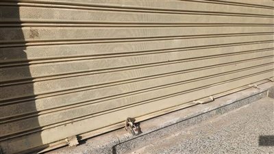 إغلاق مطاعم ومحلات شهيرة في حملات مكبرة بالجيزة | صور 