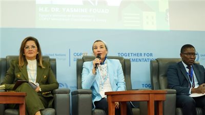 وزيرة البيئة: الاقتصاد الأخضر يتيح أكثر من 65 مليون وظيفة جديدة منخفضة الكربون