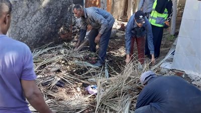 حملات لنظافة المقابر ورفع كفاءة الإنارة وتجميل الميادين بدمياط