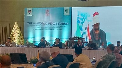 شومان: الأزهر يقف بكل حزم تجاه دعوات التخريب والتفريق