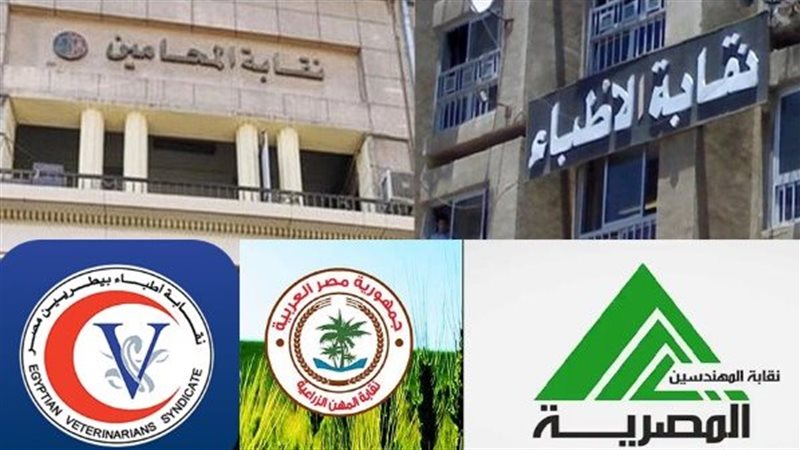 النقابات المصرية