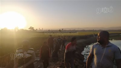 بالشبك والطبلة.. أحدث طرق الصيد في الصعيد.. و