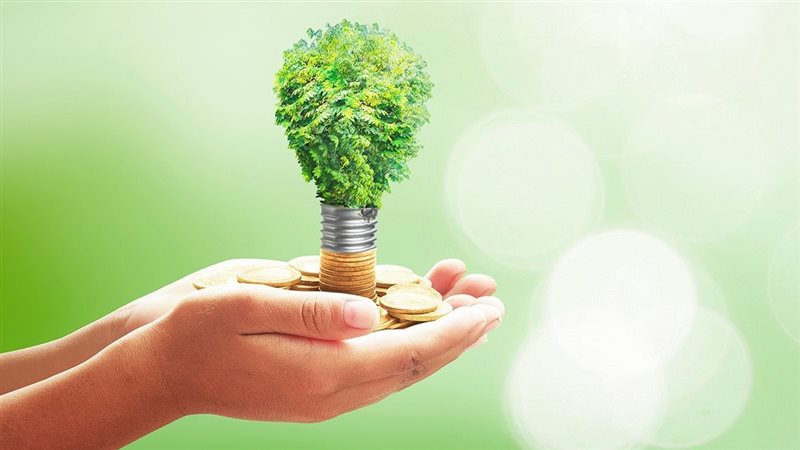 المشروعات الخضراء،