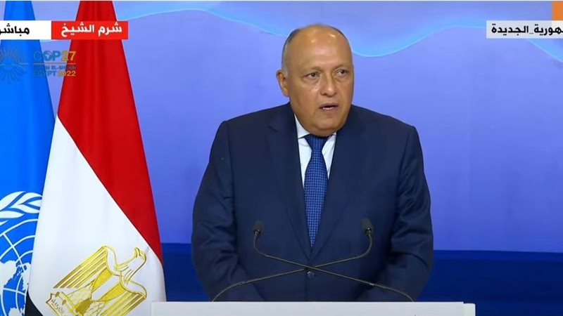 سامح شكري وزير الخارجية