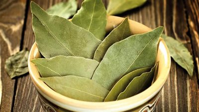 فوائد أوراق الجوافة.. تعالج التهاب الشعب الهوائية والأرق