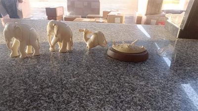 جمارك مطار القاهرة تحبط تهريب 3 تماثيل من العاج المحظور