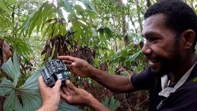 اكتشاف طائر منقرض منذ أكثر من 140 عاما