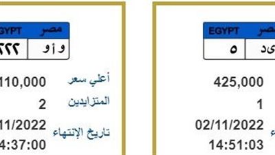 5 خطوات لاستخراج لوحة سيارة جديدة من المرور