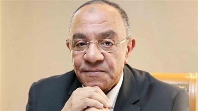 تجارية الجيزة: جار حل مشكلات مربي الدواجن والإفراج عن الأعلاف لخفض الأسعار