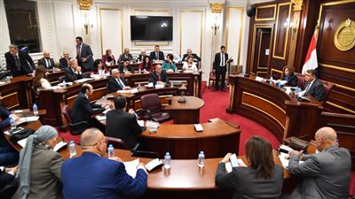 القومي لحقوق الإنسان يكشف جهود تنفيذ الاستراتيجية الوطنية