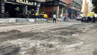 رفع كفاءة شوارع بولاق وإزالة 1251 ألف طن قمامة من 9 أحياء بالجيزة | صور