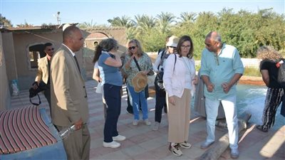 محافظ الوادي الجديد يرافق الأطباء الأوروبي المصري في جولة بمخيم جناح السياحي