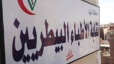 نقابة البيطريين تنظم دورة سونار الحيوانات الأليفة اليوم